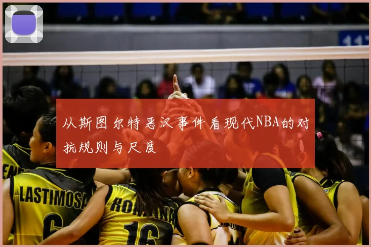 从斯图尔特恶汉事件看现代NBA的对抗规则与尺度